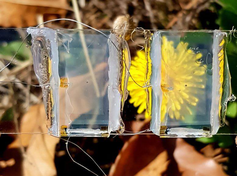 1609935862 transparent solar cell 777x576 1 - پنل خورشیدی کاملا شفاف: آیا پنجره ها در آینده برق تولید خواهند کرد؟