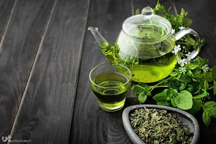 1613665115 mice study green tea shows promise for food allergies wrbm large 1 - بیماری قلبی دارید؟ قهوه و چای سبز بنوشید!