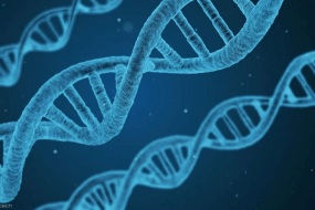 1623601441 2021 06 13 20 51 43 scientists discover that rna segments can be written back into dna min 285x190 - دانشمندان کشف کردند که بخشهای RNA را می توان دوباره در DNA نوشت