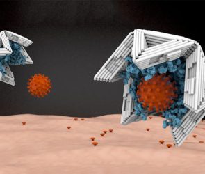 1626883492 virus trap resize md 295x250 - خنثی سازی ویروس ها با فناوری جدید Virus Trap و استفاده از DNA Origami