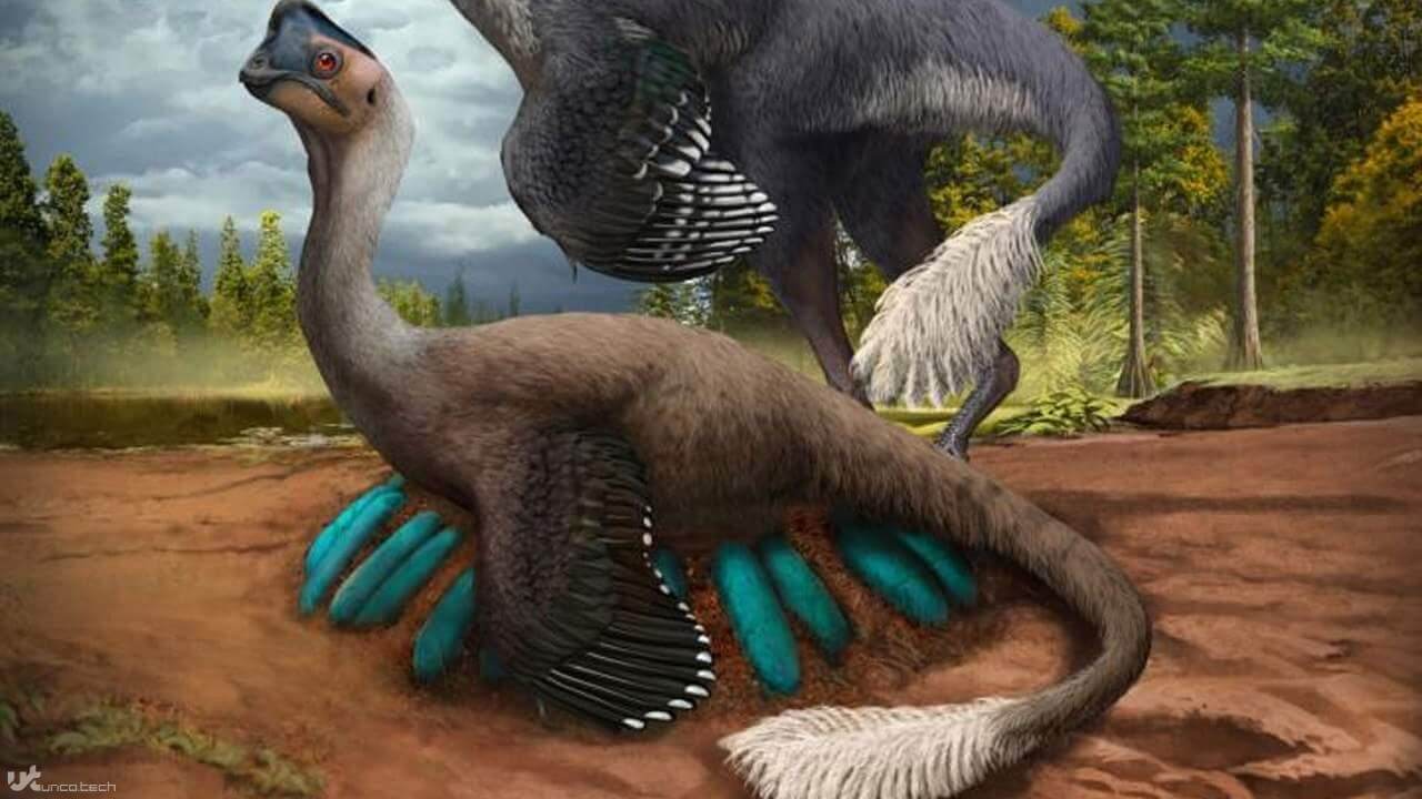 1615580333 dino bird 1280x720 1 - محققان فسیل دایناسور پرنده مانندی را نشسته بر روی تخم های فسیل شده کشف کرده اند