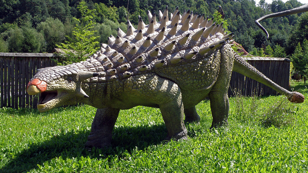 1280px Ankylozaur Ankylosaurus   JuraPark Baltow 1 1280x720 - گونه جدید دایناسور زرهی در چین کشف شد