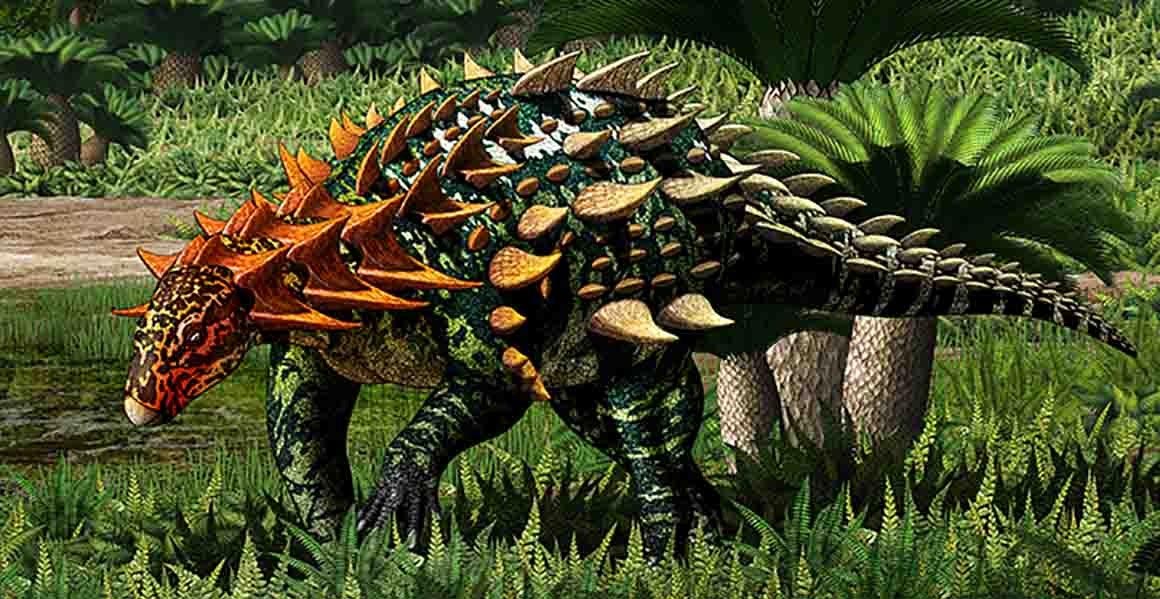 New Armored Dinosaur Asia Reconstruction - گونه جدید دایناسور زرهی در چین کشف شد