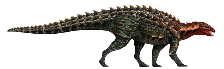 New Armored Dinosaur Asia - گونه جدید دایناسور زرهی در چین کشف شد