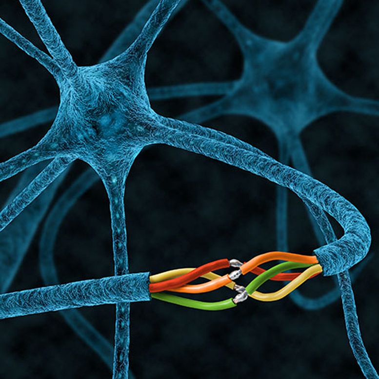 QBI Nerve Repair - کشف چسب ترمیم اعصاب - مولکول شناسایی شده برای ترمیم اعصاب آسیب دیده
