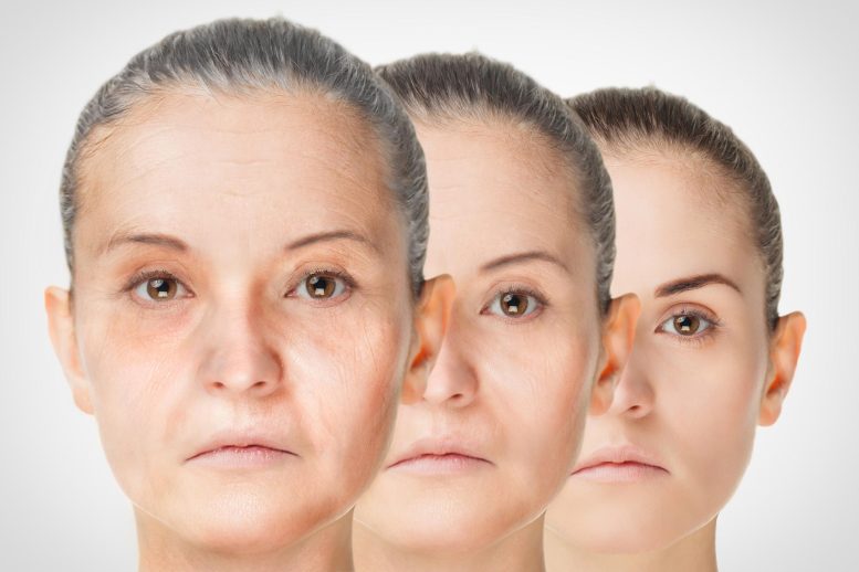 Anti Aging Rejuvenation Concept 777x518 1 - معکوس کردن پیری، تحقیقات جدیدی که می تواند شما را 30 سال جوانتر سازد
