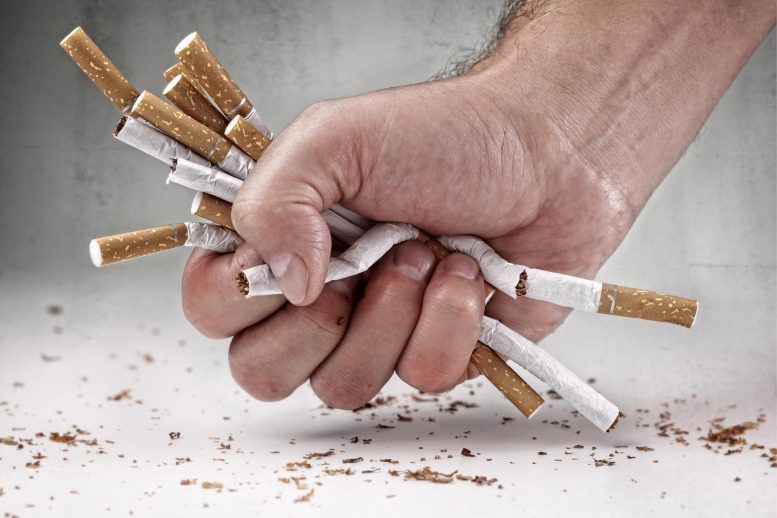 Quit Smoking Cigarettes Concept 777x518 1 - سیگاری های مبتلا به بیماری قلبی می توانند با ترک سیگار پنج سال طول عمر سالم داشته باشند