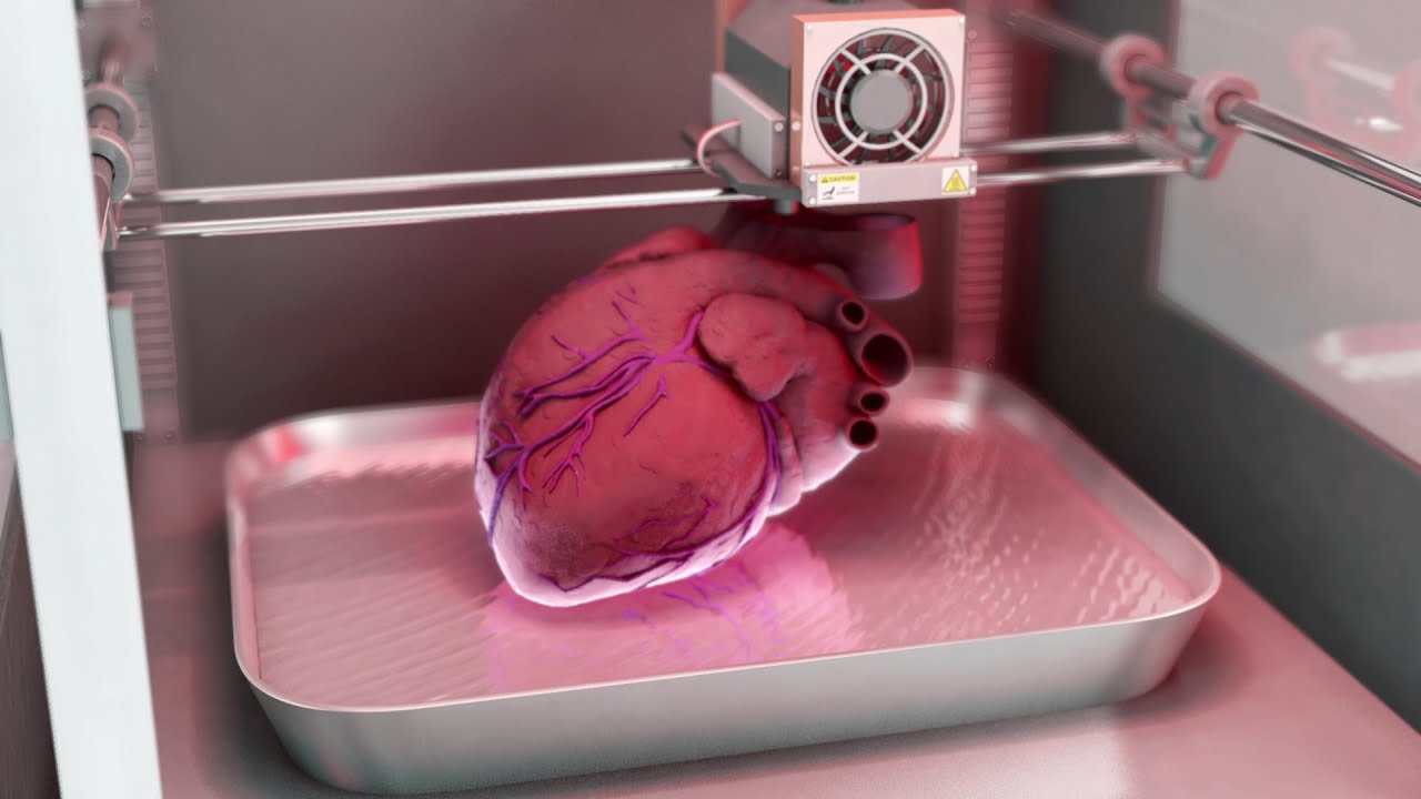 چاپ زیستی سه بعدی، آینده پیوند عضو